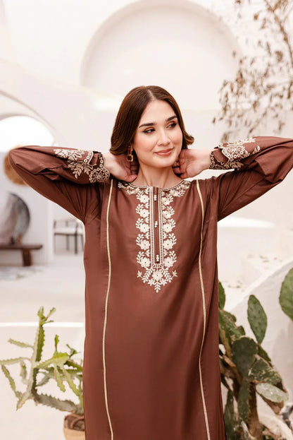 Brown Embroidered Dress - 2pcs